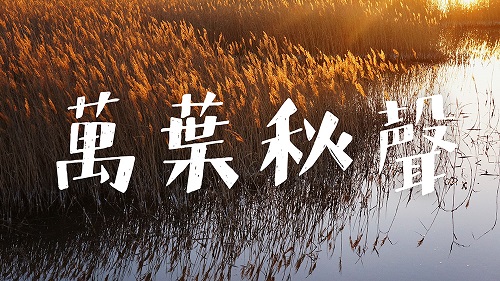 十大网投正规信誉网址字迹-白关手绘.JPG